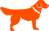 Pet Turf