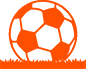 Sports Field Turf