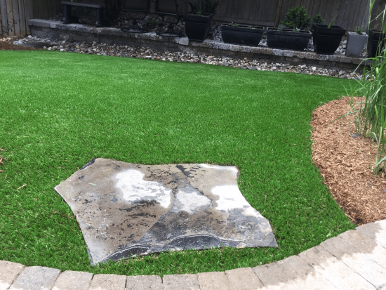 Beautiful Backyard in Mississauga