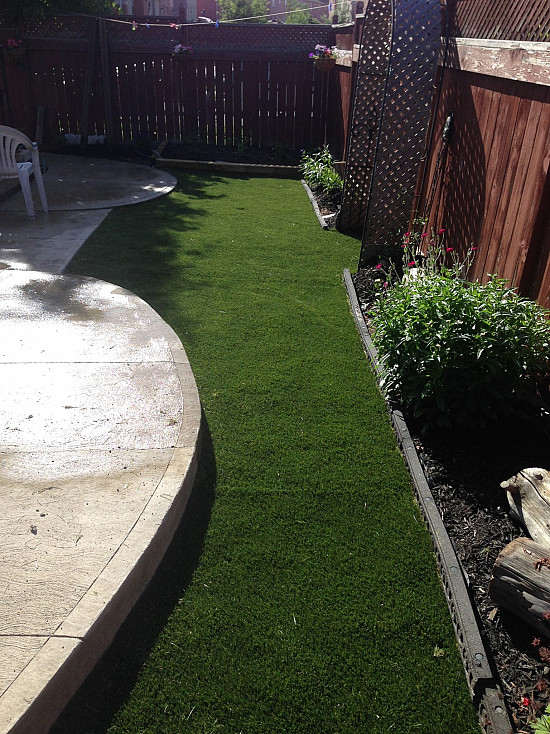 Awesome Artificial Grass in Brampton