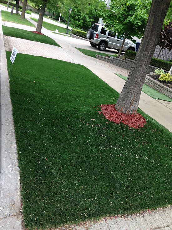 The Front Lawn in Wilson Heights