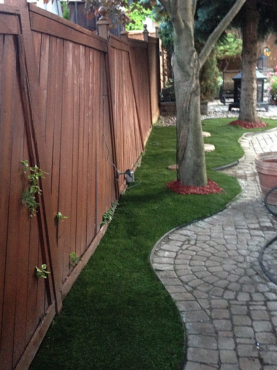 Artificial Pet Turf in Brampton